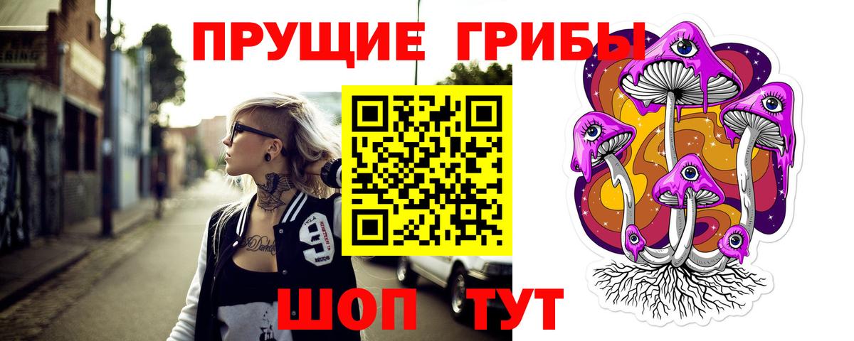 где купить наркоту  Галлюциногенные грибы мухоморы  Вход с VPN  Сальск 